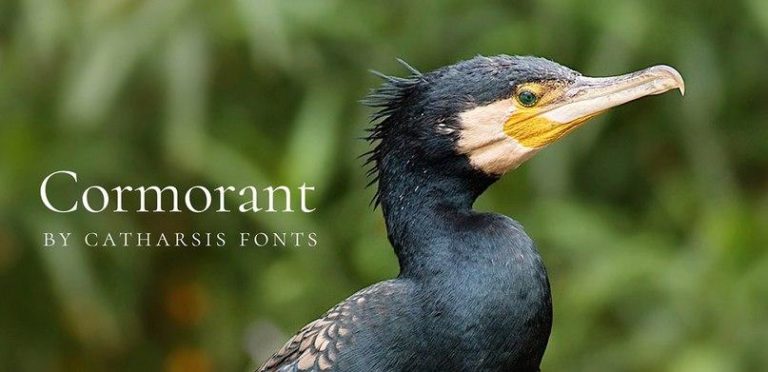 Шрифт Cormorant