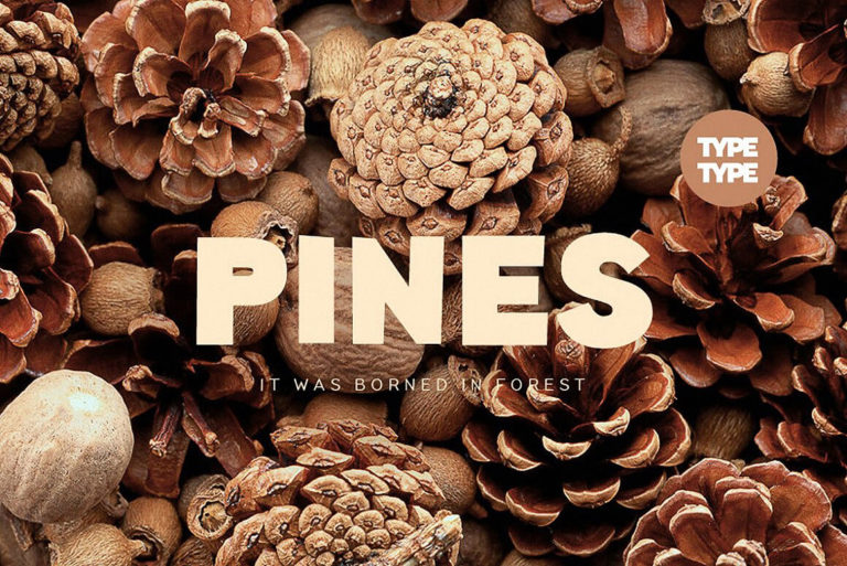 Шрифт TT Pines